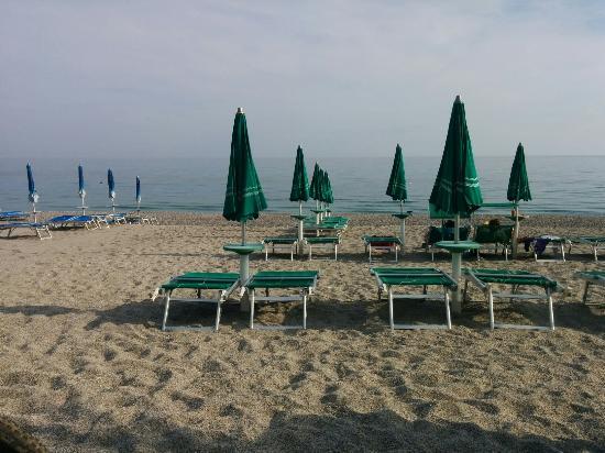 Conchiglia d'oro