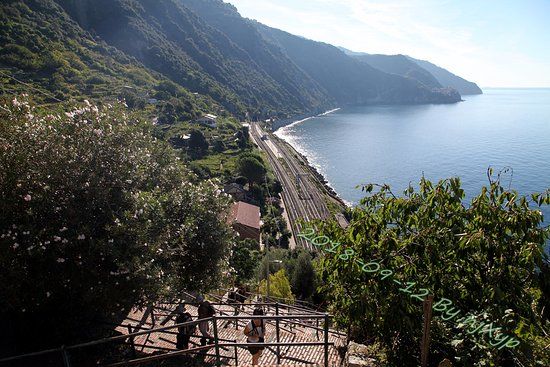 il View Point di Corniglia