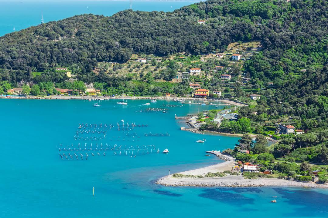 Isola Palmaria