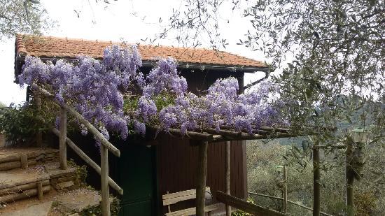 Agriturismo U Pin