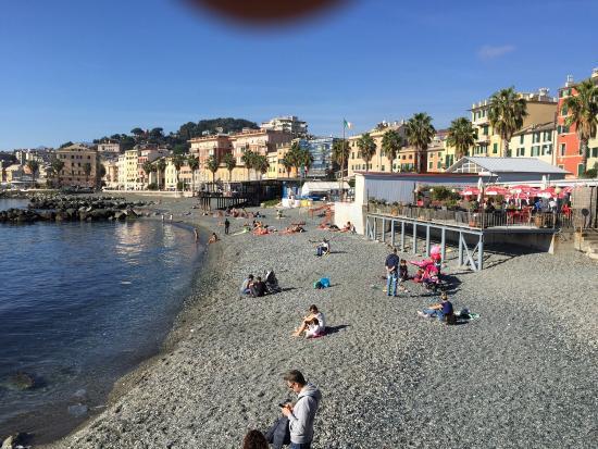 Oasi Del Mare
