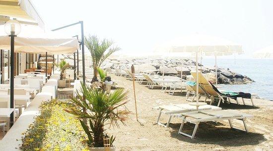 Pearl Beach Aregai