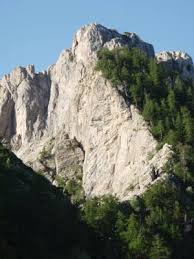 Toraggio