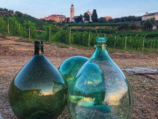 La Cantina degli Abissi
