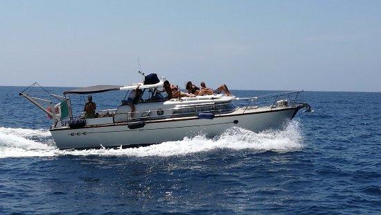 Navigacongusto