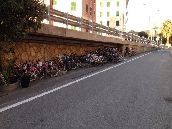 Noleggio Bici la Mola
