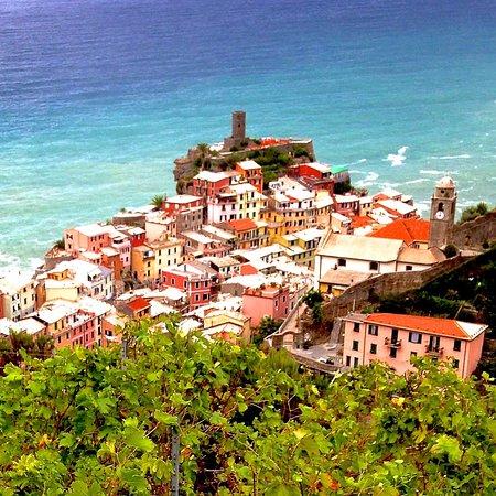 Mare Di Vino Tours