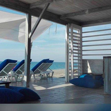 Windsurf & Wellness