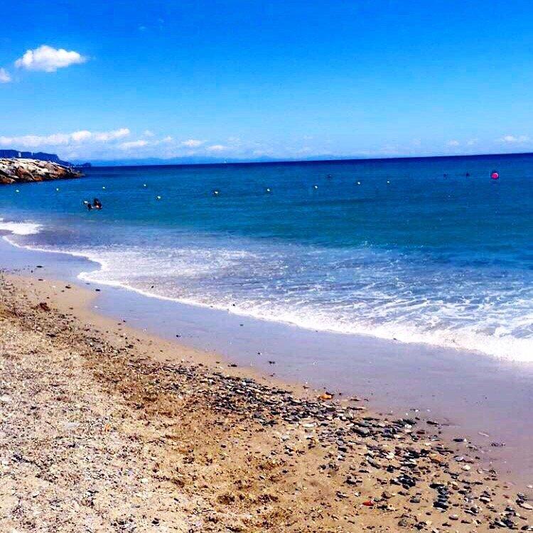 Coccobrillobar