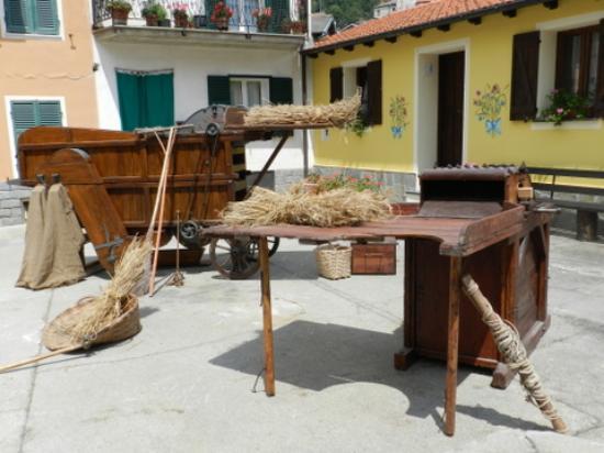 Museo delle erbe
