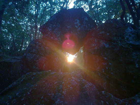 Farfalla di Luce