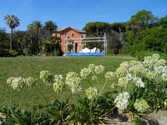Museo del merletto