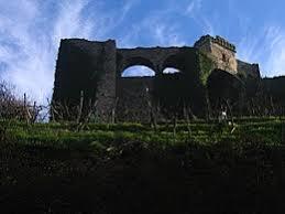 Castle of Trebiano
