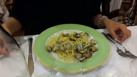 Velavevodetto